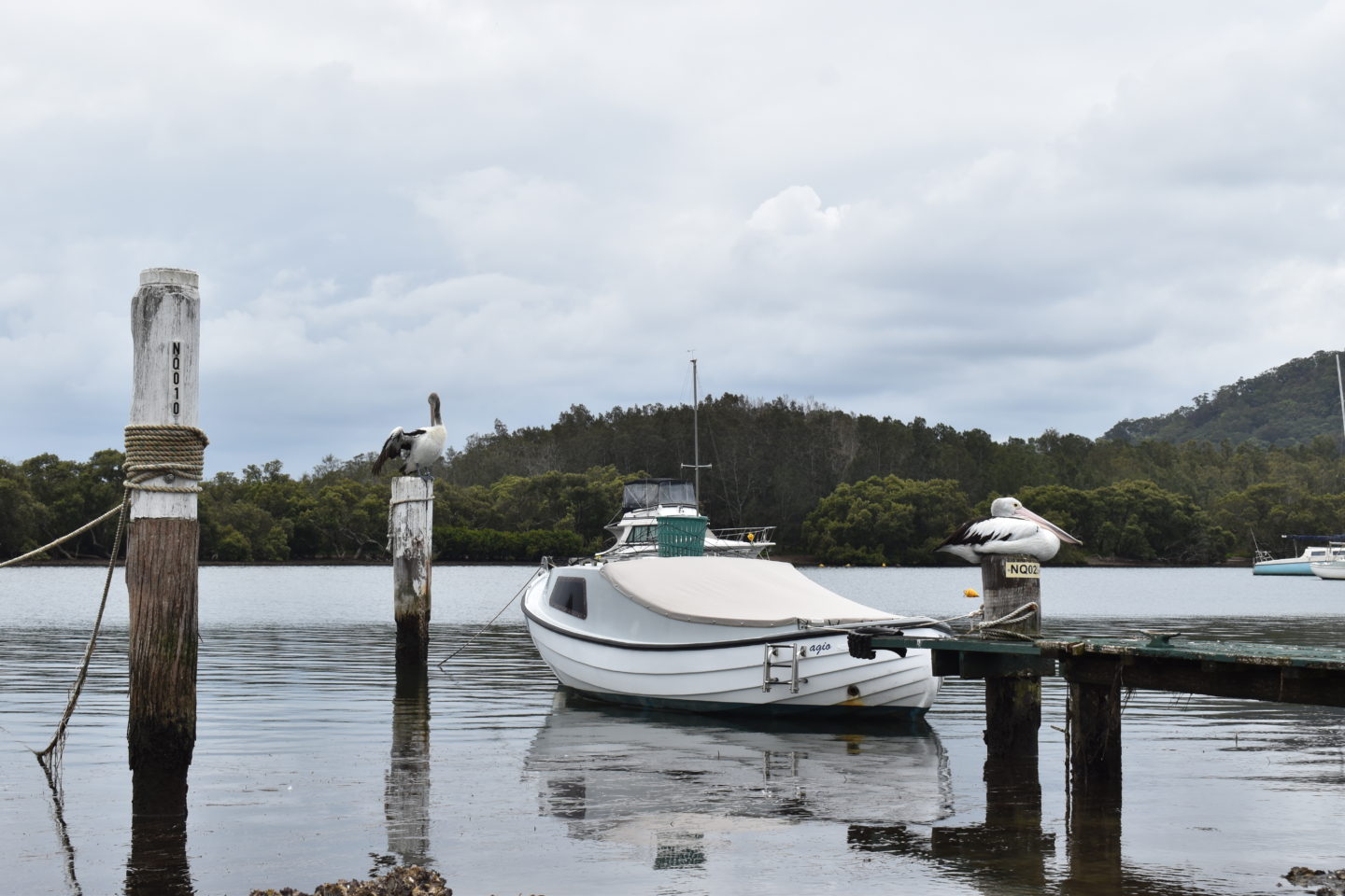 Woy Woy Harbour - Things to do in Woy Woy