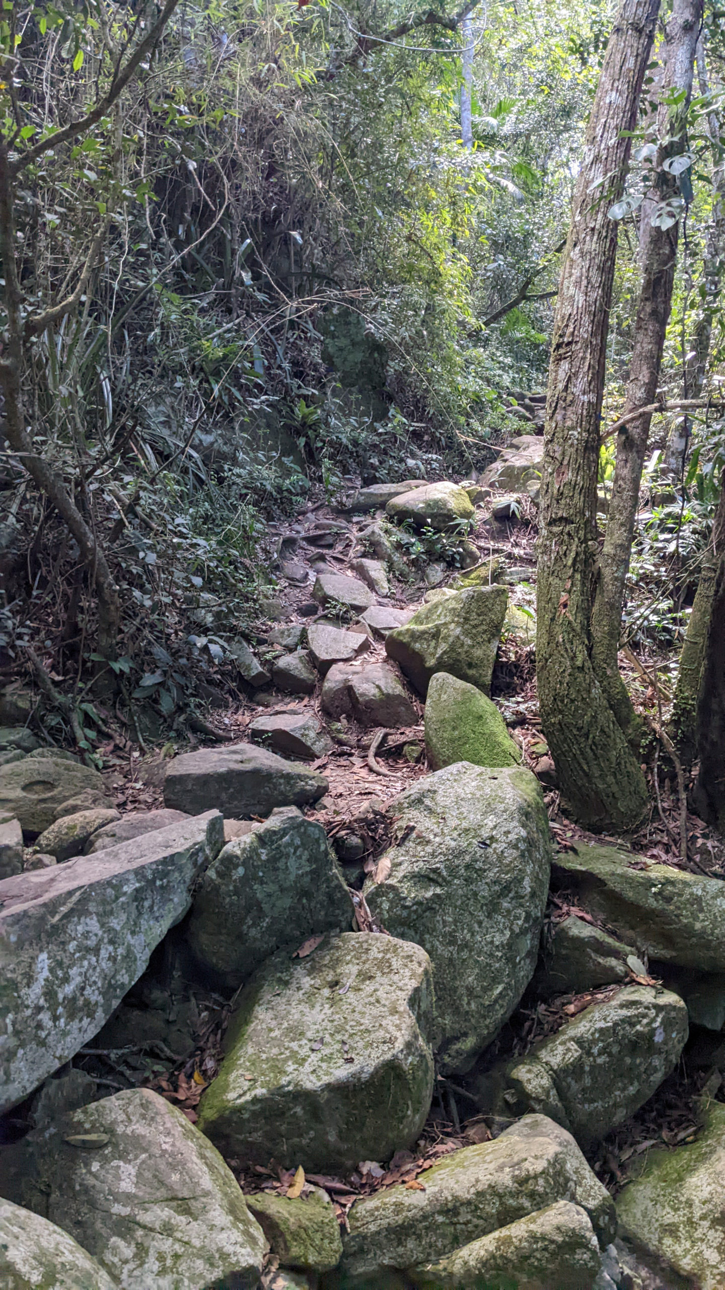 The steep rocks on the hike