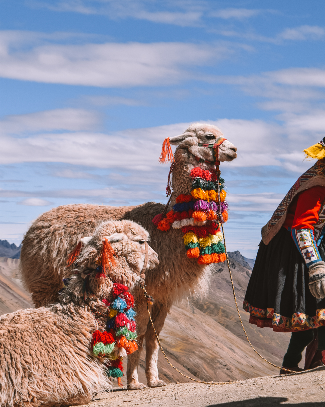 Llama dressed up on Rainbow Mountain