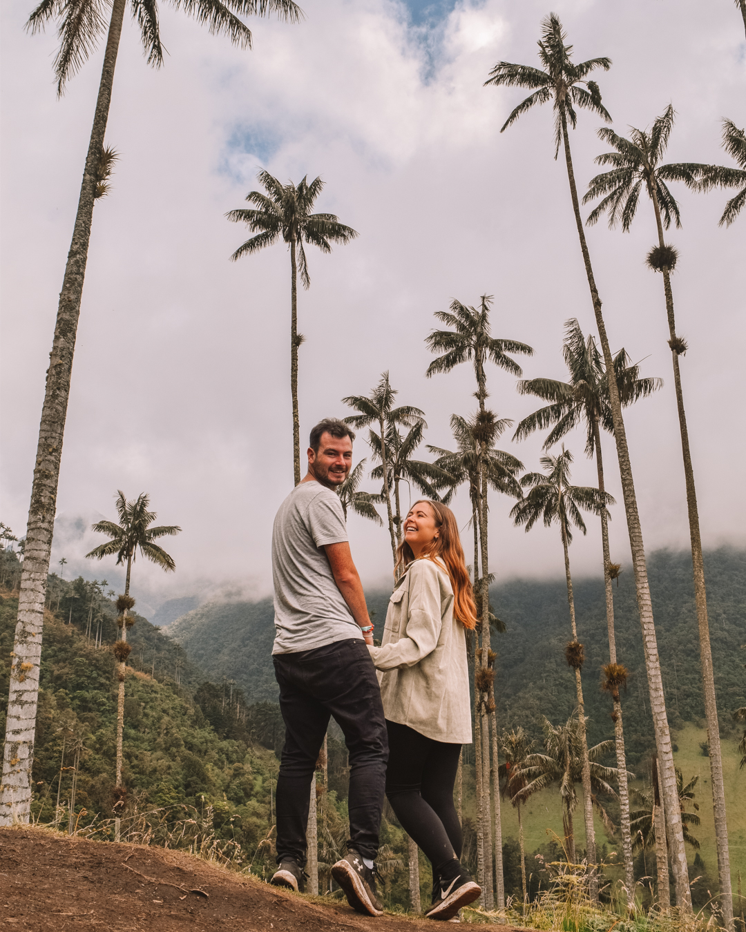 Travelling to Colombia? Visit The Cocora Valley. Tallest palm trees in the world
