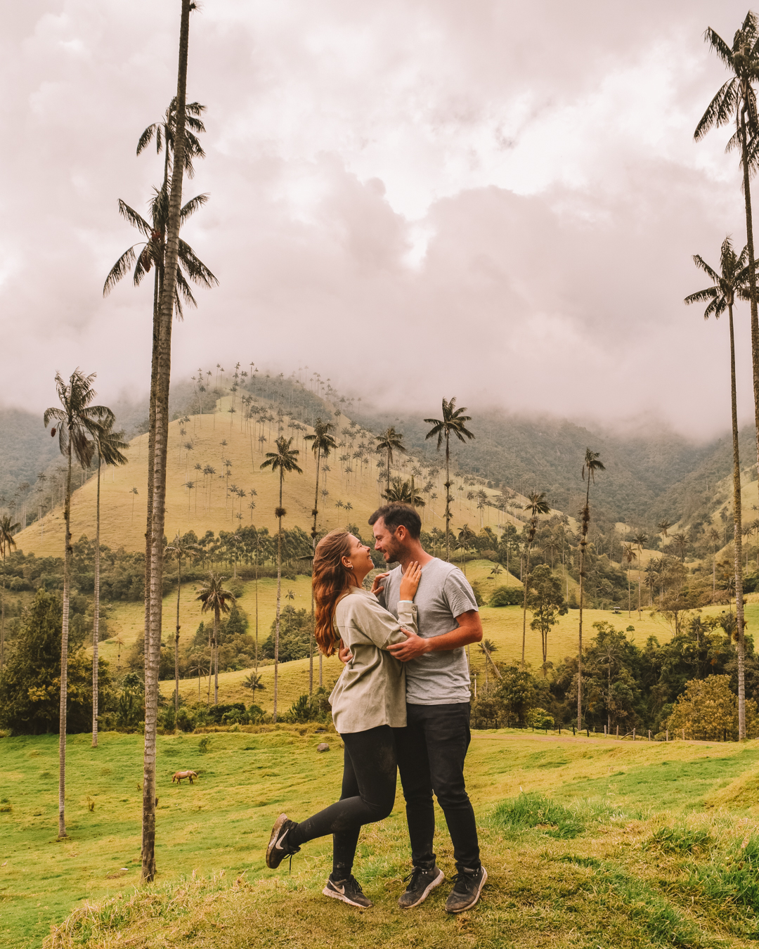 Travelling to Colombia? Visit The Cocora Valley