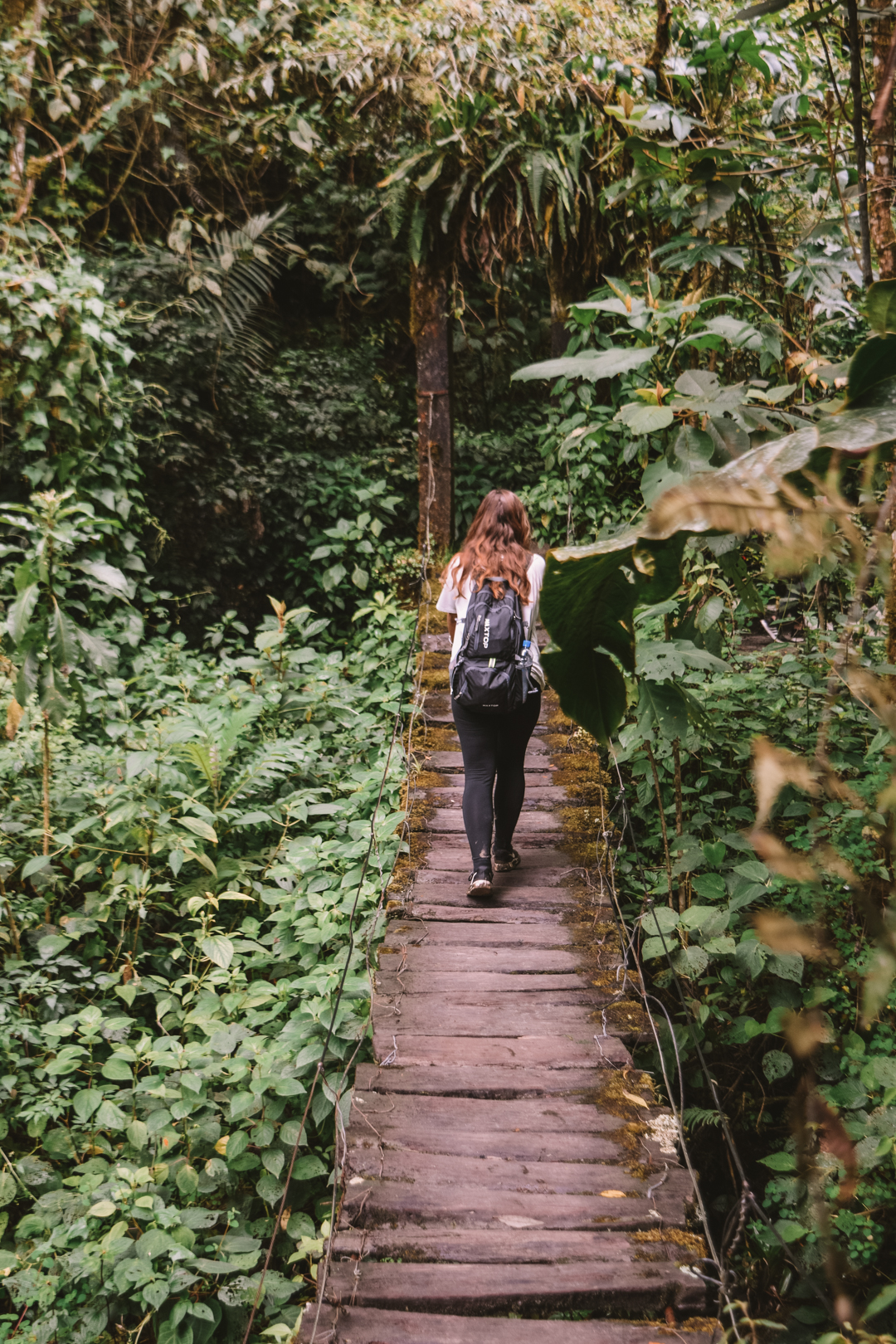 Travel couple walking on a bridge whilst hiking Cocora Valley (Valle del Cocora) in Salento, Colombia