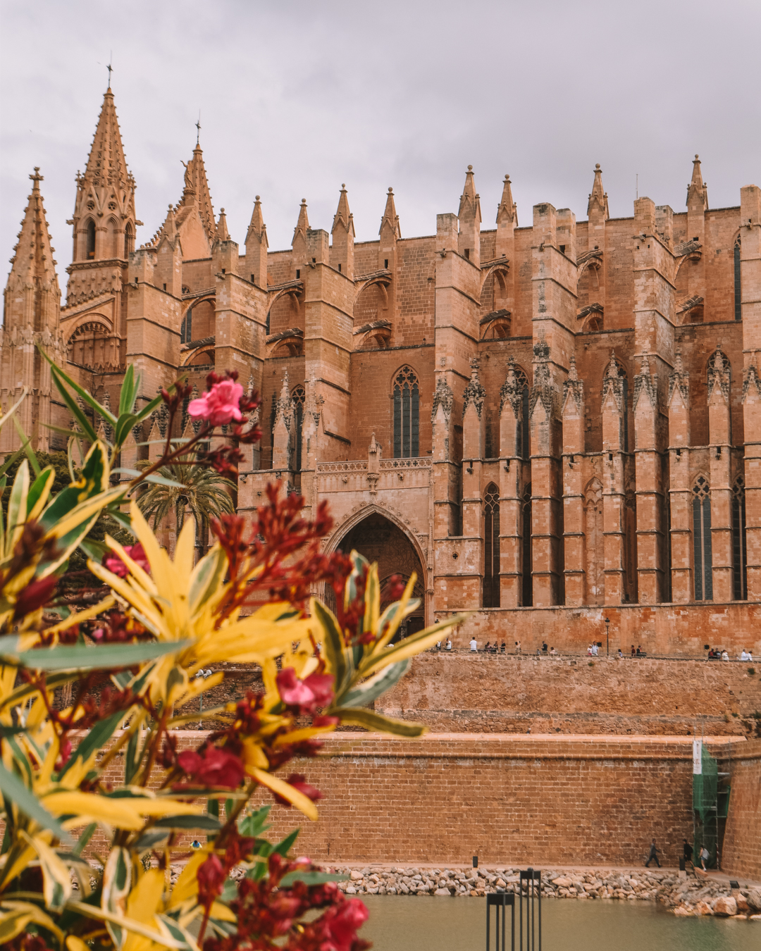 Visit The Palma de Mallorca Cathedral - one of the top things to do in Palma