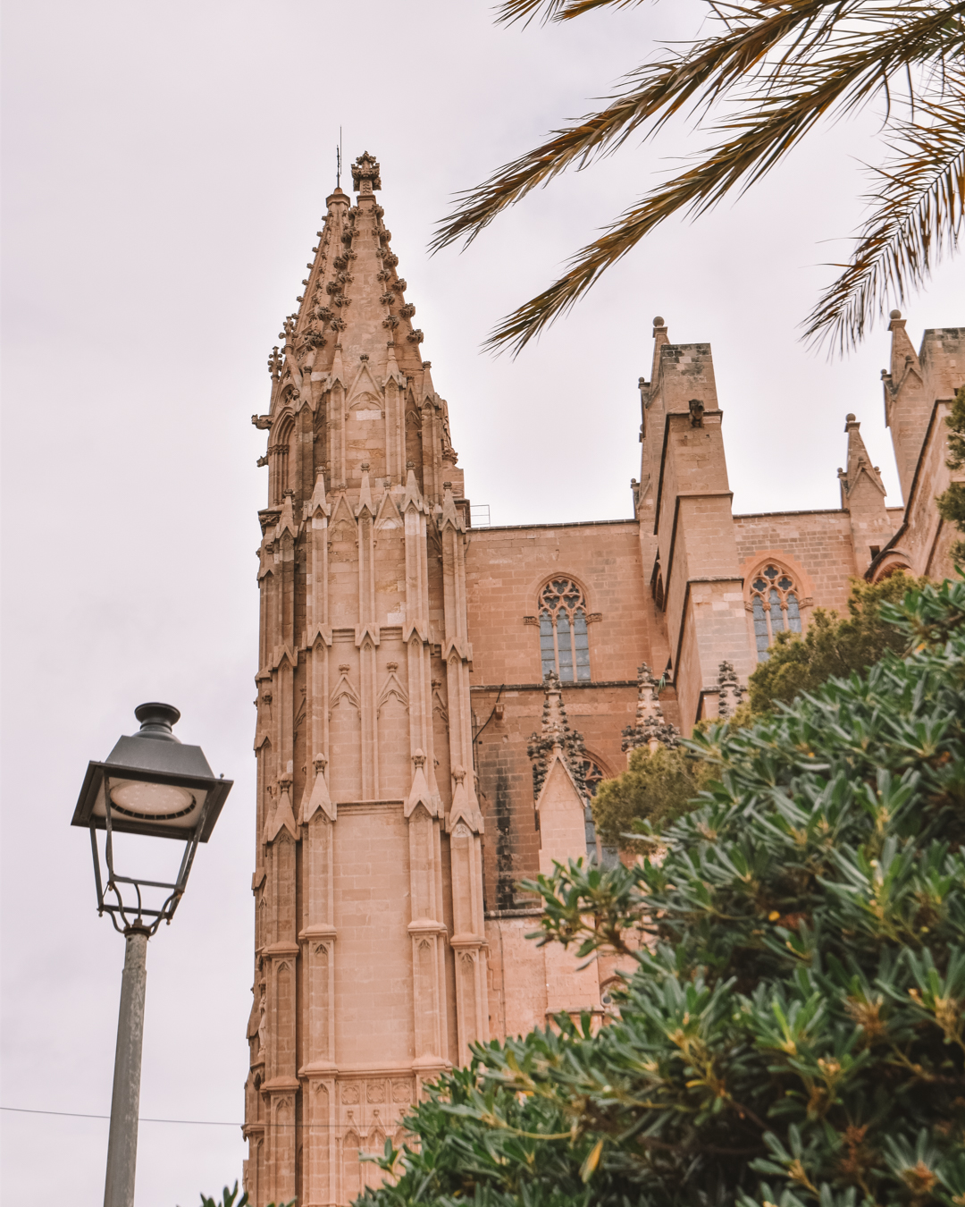 Visit The Palma de Mallorca Cathedral - one of the top things to do in Palma