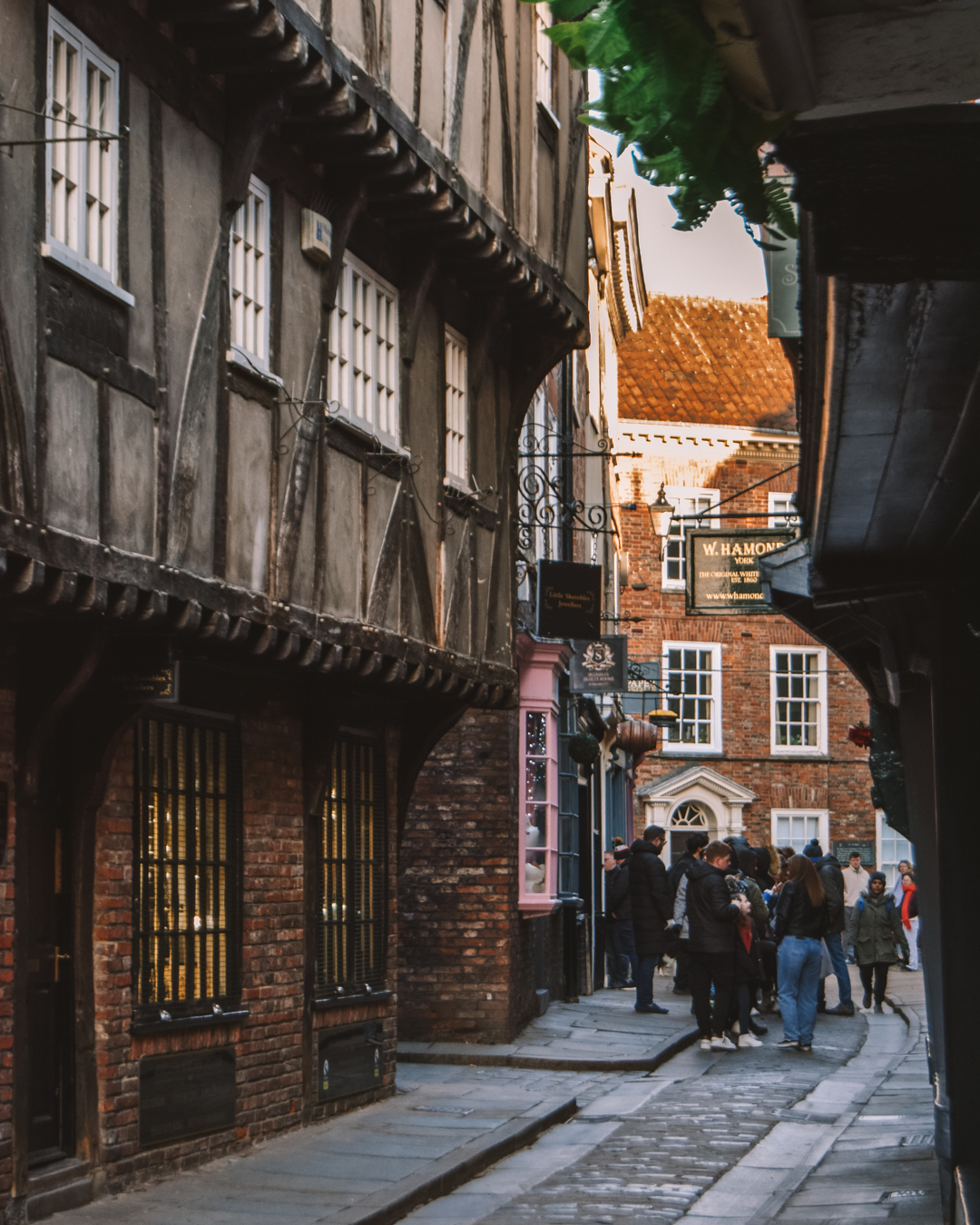 The Shambles York - one of the top things to do in York for couples
