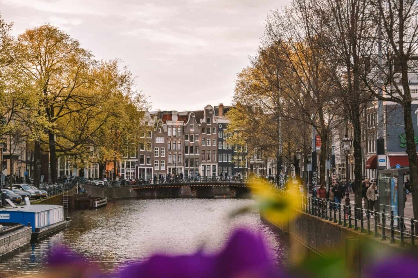 Amsterdam Canal with flowers framing the bottom