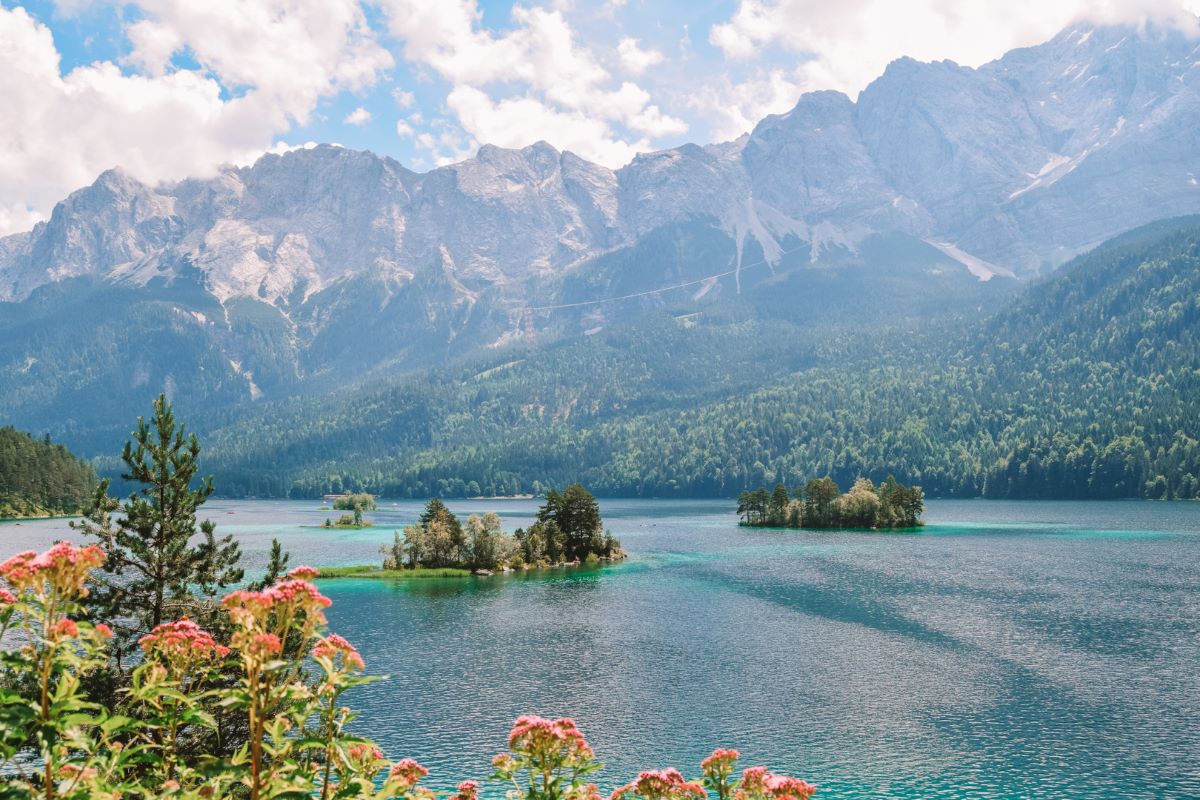 The view over Lake Eibsee with pink flowers in the foreground