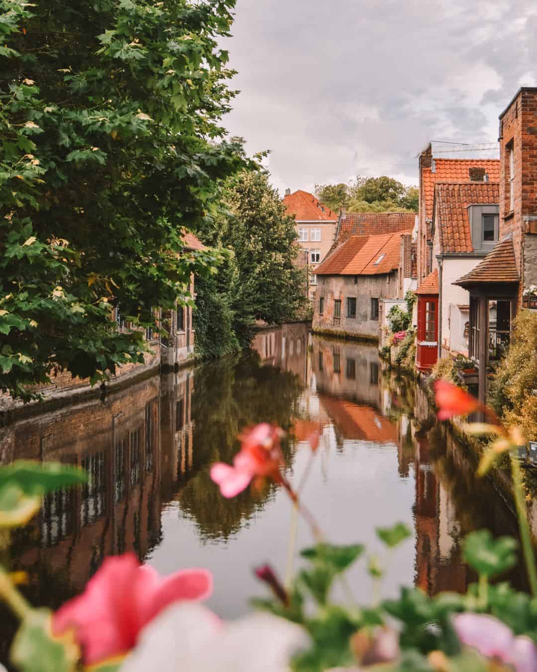 A beautiful river in Bruges with pink flowers