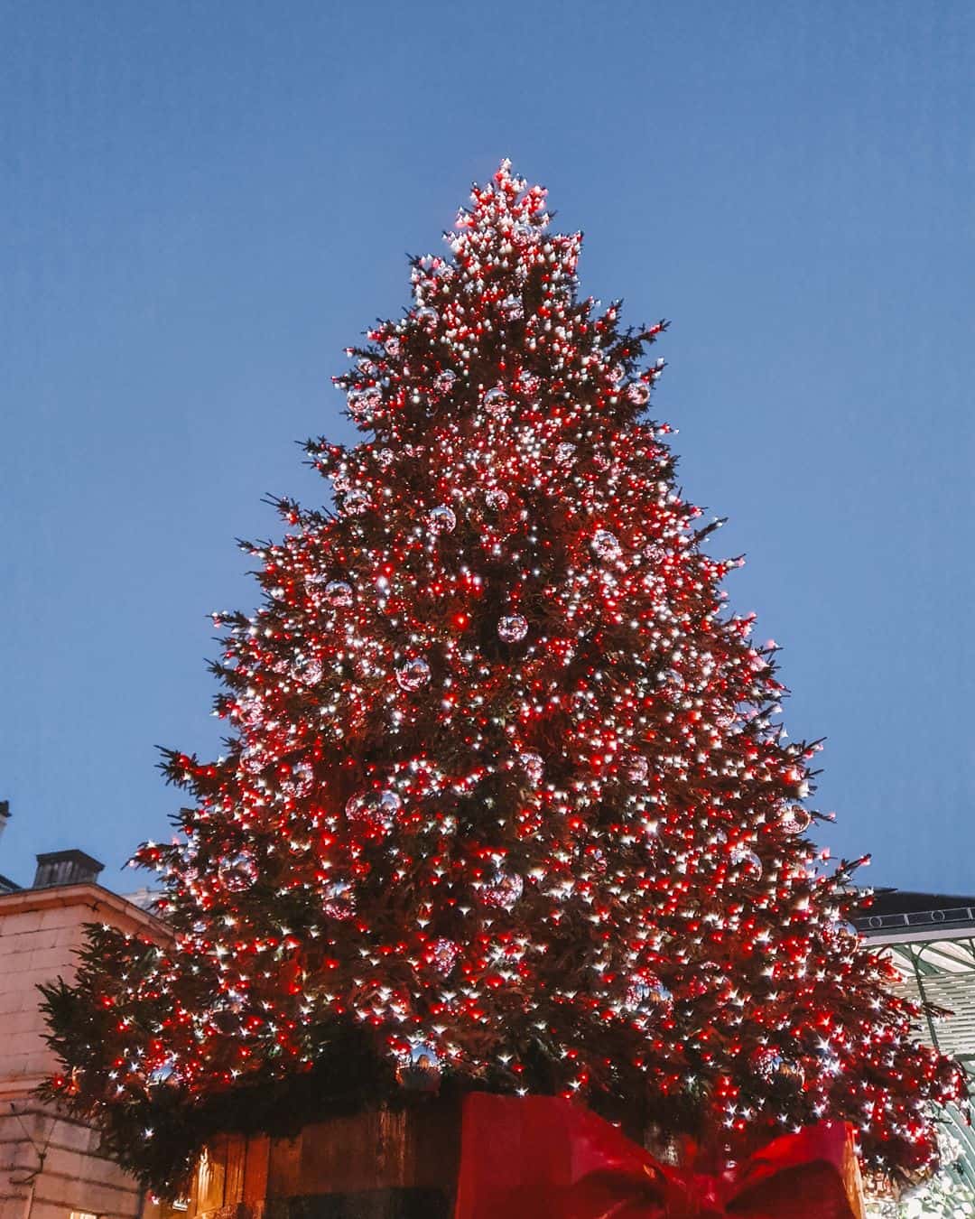 Covent Garden Christmas tree lit up