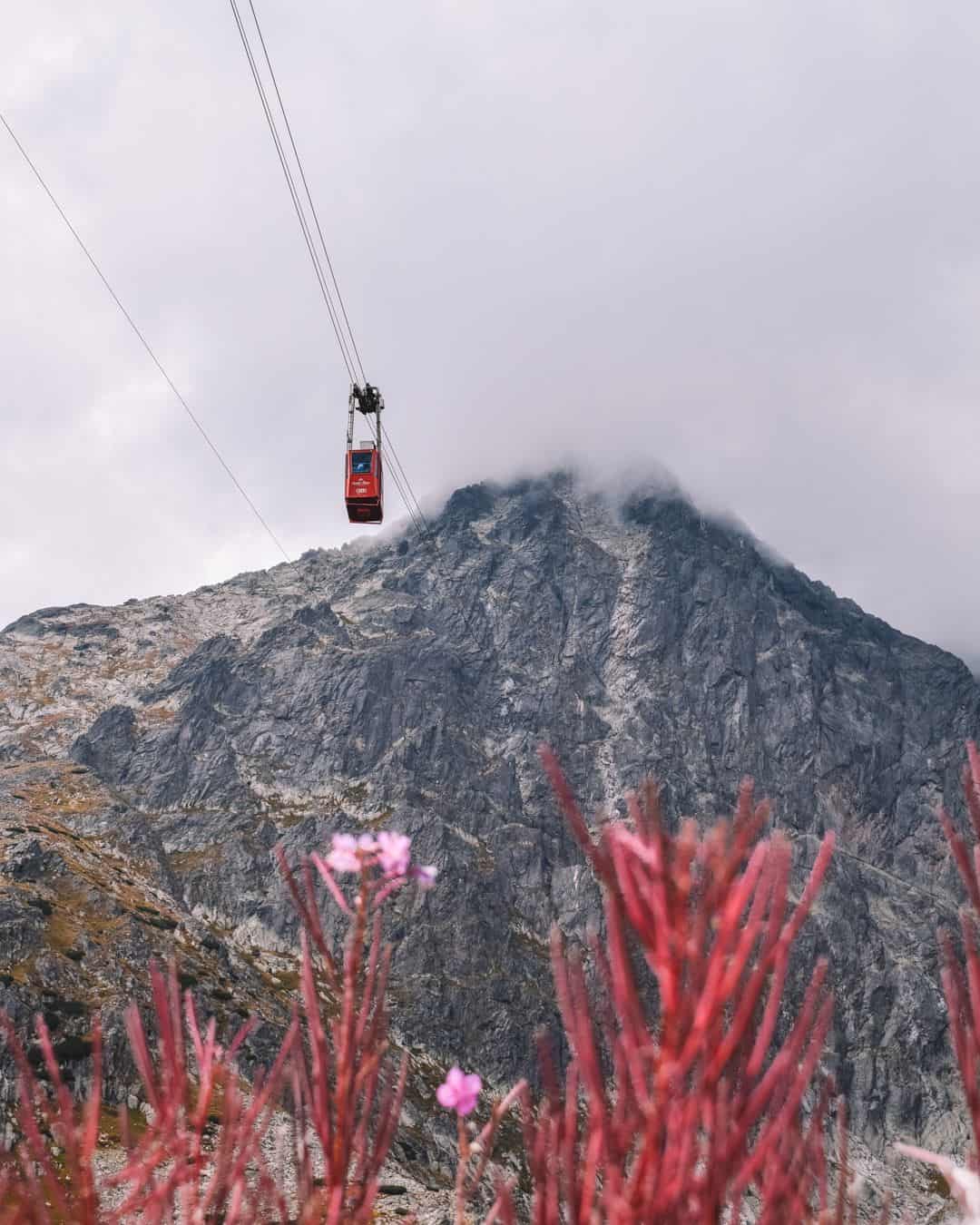 The cable car going up to the top of Tatranská Lomnica with pink plants in the front and a rocky mountain behind