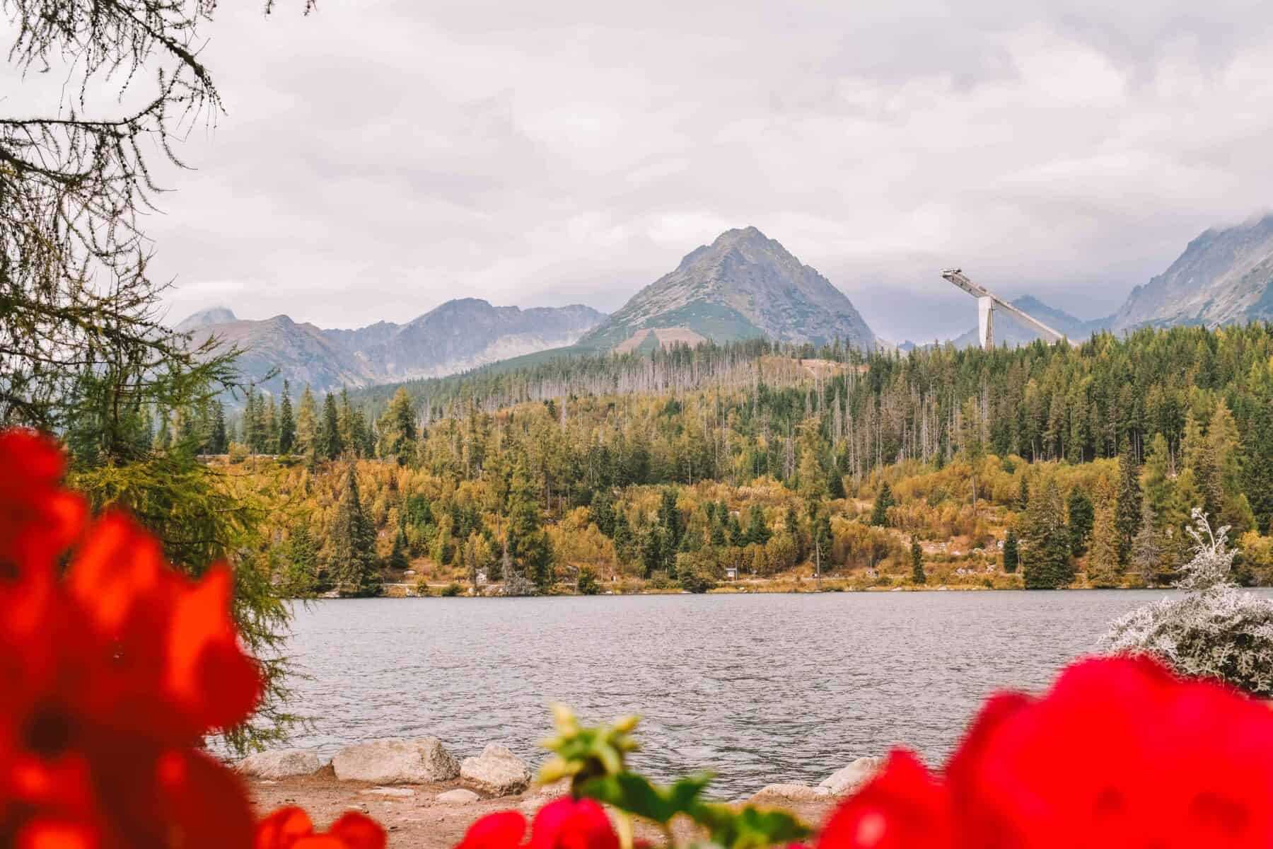 The view of  Štrbské Pleso framed by pink flowers